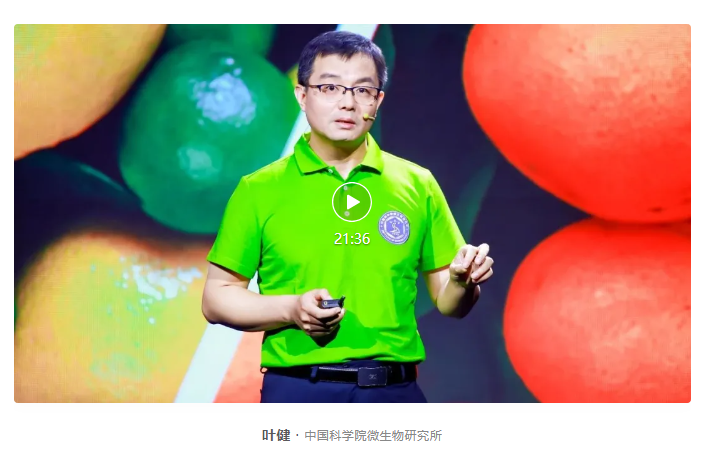 八年磨一剑！中国科学家团队破译柑橘黄龙病