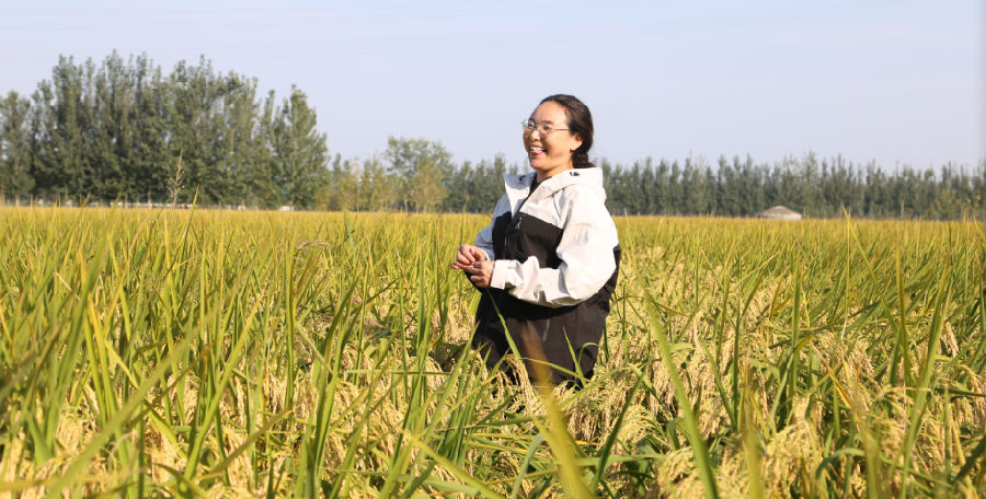 千亩巾帼周盼:尽我所能，种出更好的大米!