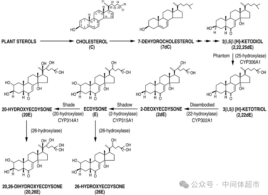 农药原药第三方检测何时休？