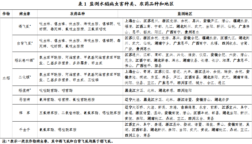 触目惊心！褐飞虱抗性飙升超4000倍，全