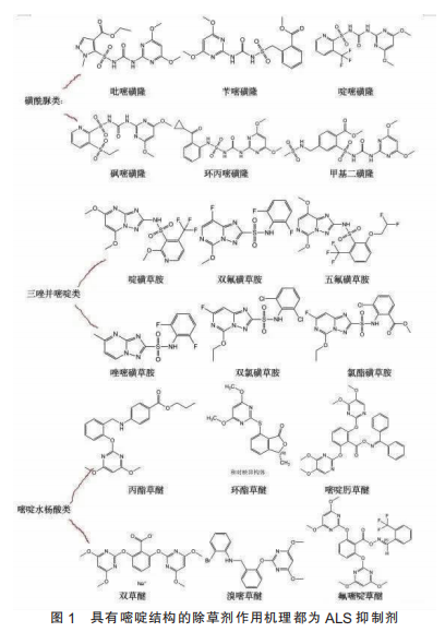 拥有双重作用机理的大田作物新型除草剂——