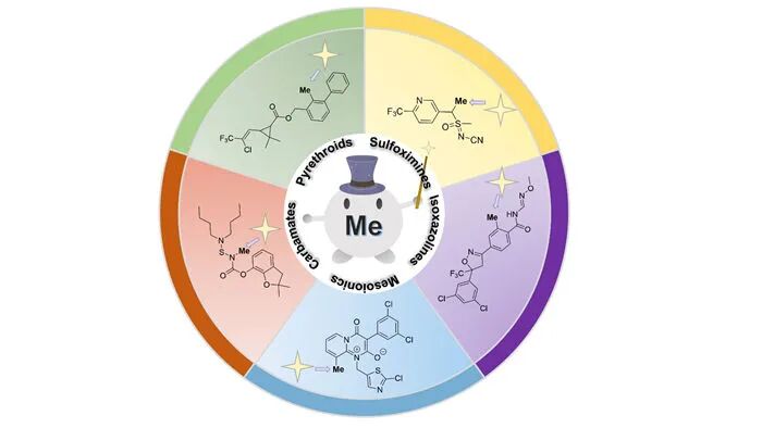 贵州大学宋宝安院士团队：展望农药中的“神
