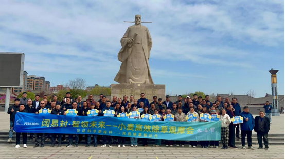 以技术革新麦田秩序：阔易封&reg;，阔叶杂草的终极解决方案